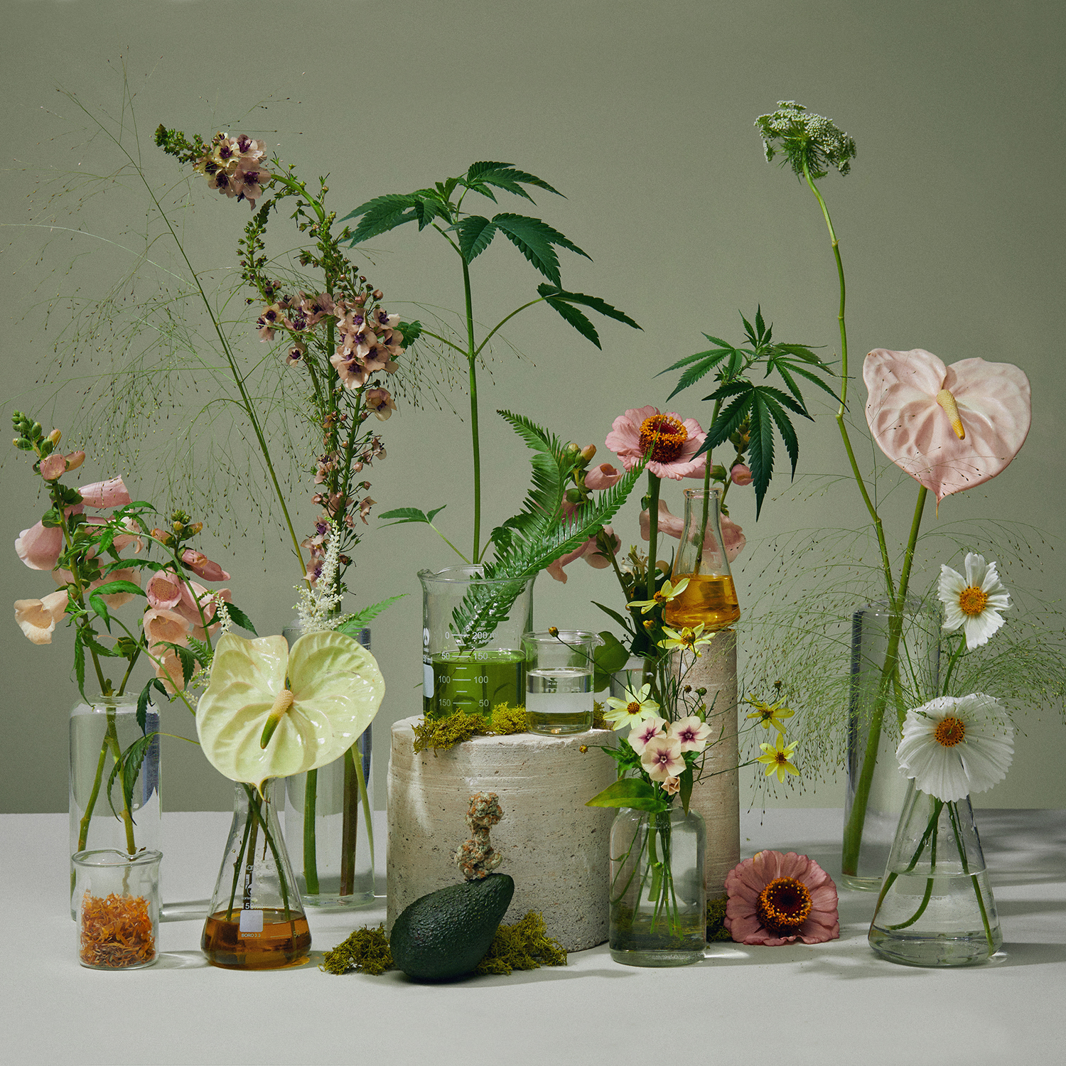 mowellens_set_design_01